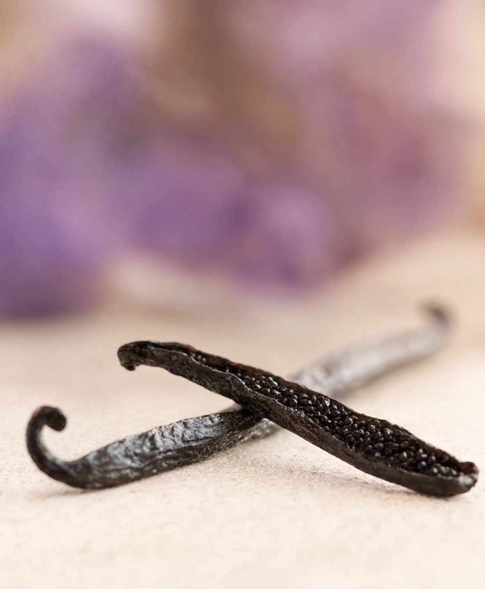 Dried vanilla pods